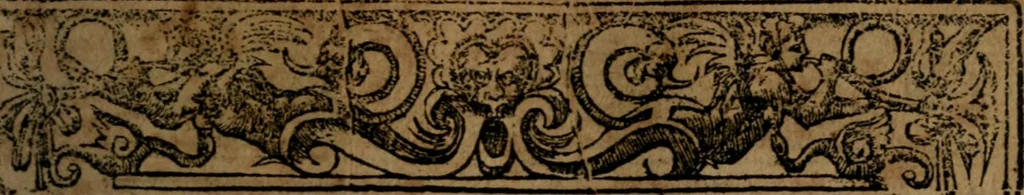 An illustration from Diverse imprese accommodate a diuerse moralità, con versi che i loro significati dichiarano insieme con molte altre nella lingua italiana non piu tradotte, 1564, leaf 156