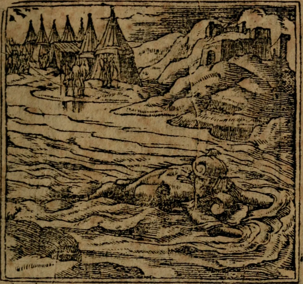 An illustration from Diverse imprese accommodate a diuerse moralità, con versi che i loro significati dichiarano insieme con molte altre nella lingua italiana non piu tradotte, 1564, leaf 156