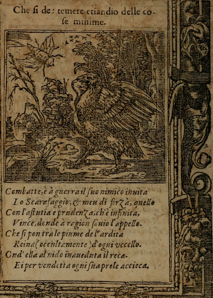 An illustration from Diverse imprese accommodate a diuerse moralità, con versi che i loro significati dichiarano insieme con molte altre nella lingua italiana non piu tradotte, 1564, leaf 161
