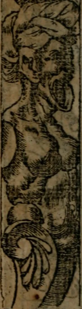 An illustration from Diverse imprese accommodate a diuerse moralità, con versi che i loro significati dichiarano insieme con molte altre nella lingua italiana non piu tradotte, 1564, leaf 17