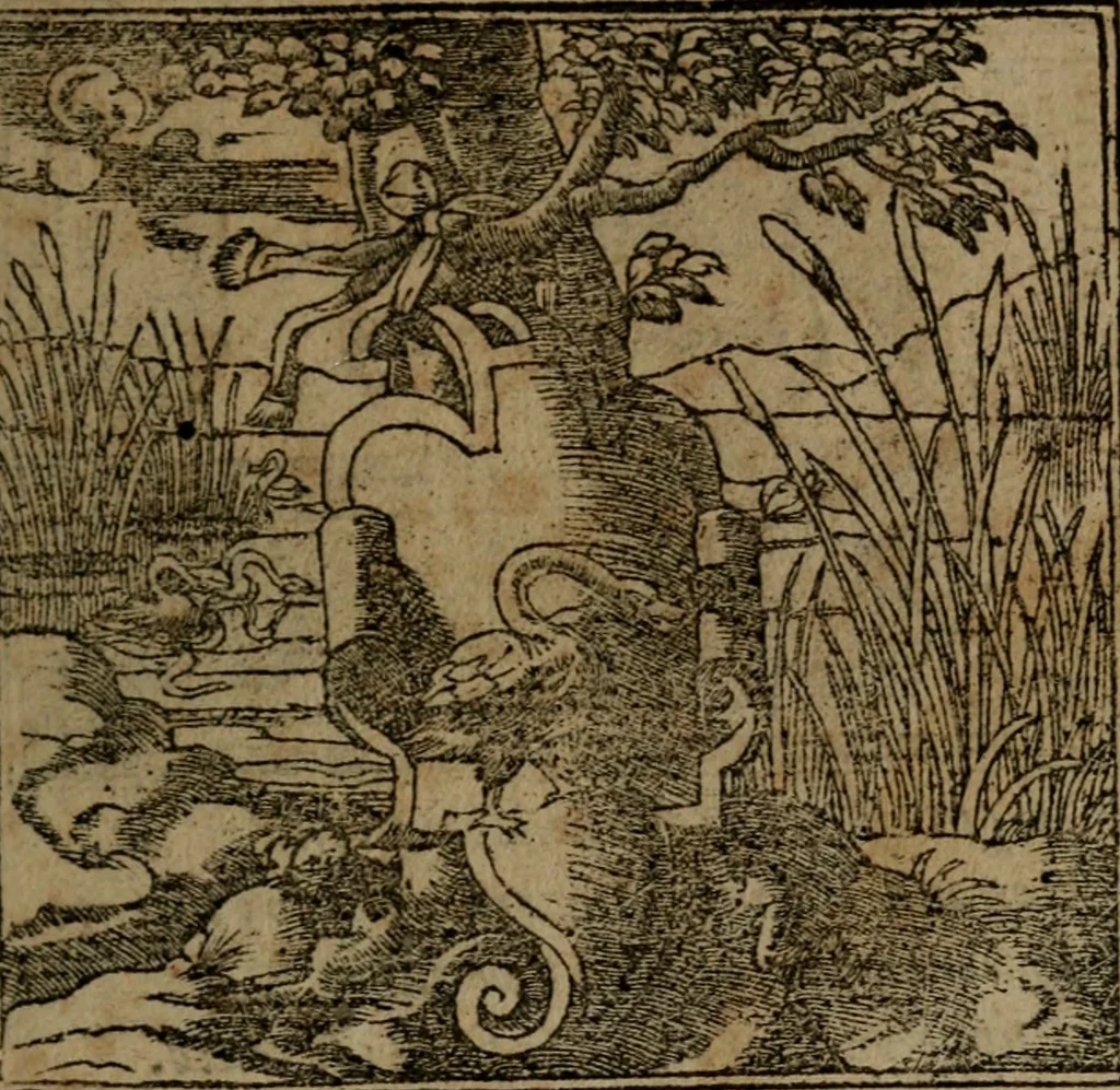 An illustration from Diverse imprese accommodate a diuerse moralità, con versi che i loro significati dichiarano insieme con molte altre nella lingua italiana non piu tradotte, 1564, leaf 172