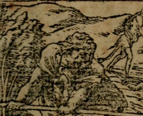 An illustration from Diverse imprese accommodate a diuerse moralità, con versi che i loro significati dichiarano insieme con molte altre nella lingua italiana non piu tradotte, 1564, leaf 174