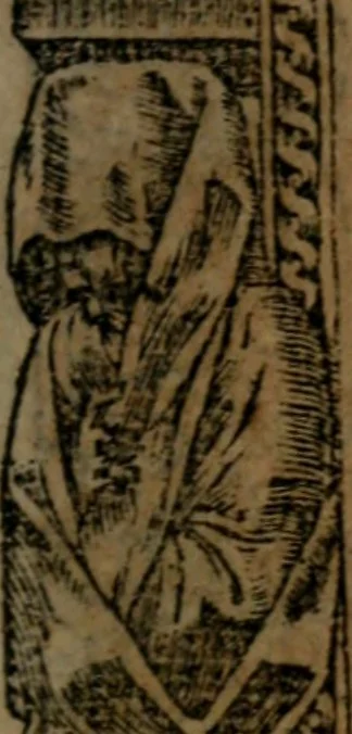 An illustration from Diverse imprese accommodate a diuerse moralità, con versi che i loro significati dichiarano insieme con molte altre nella lingua italiana non piu tradotte, 1564, leaf 18
