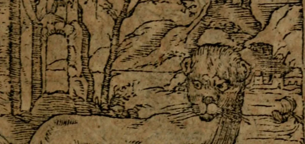 An illustration from Diverse imprese accommodate a diuerse moralità, con versi che i loro significati dichiarano insieme con molte altre nella lingua italiana non piu tradotte, 1564, leaf 18