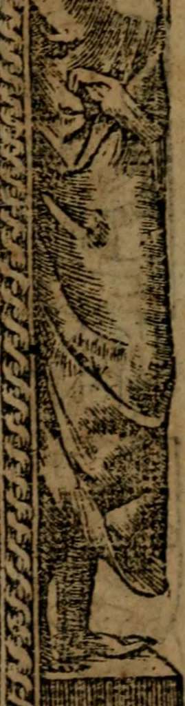 An illustration from Diverse imprese accommodate a diuerse moralità, con versi che i loro significati dichiarano insieme con molte altre nella lingua italiana non piu tradotte, 1564, leaf 18