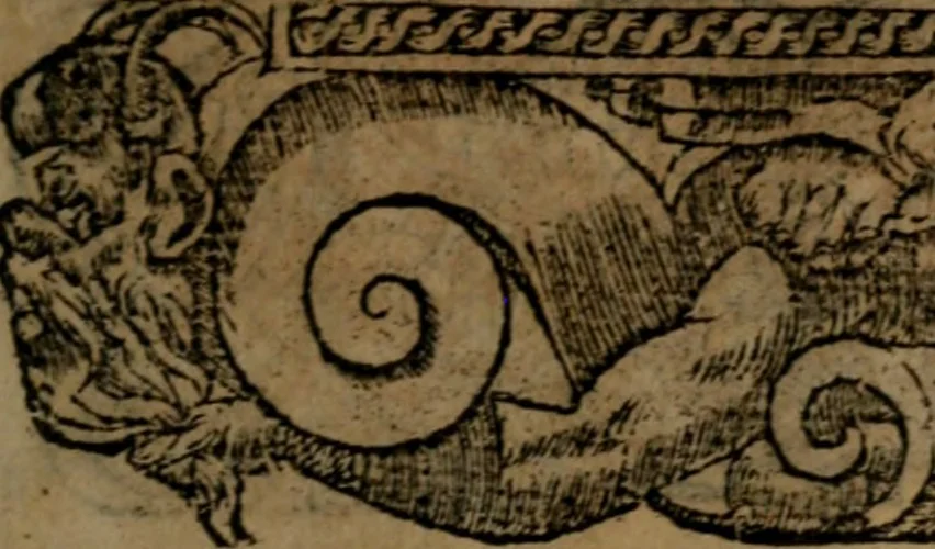 An illustration from Diverse imprese accommodate a diuerse moralità, con versi che i loro significati dichiarano insieme con molte altre nella lingua italiana non piu tradotte, 1564, leaf 18