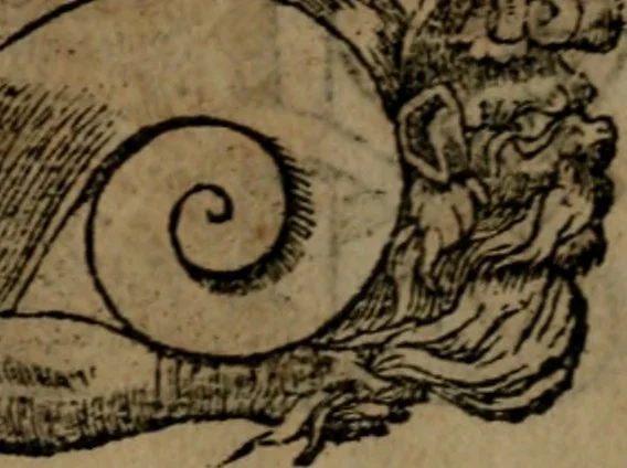 An illustration from Diverse imprese accommodate a diuerse moralità, con versi che i loro significati dichiarano insieme con molte altre nella lingua italiana non piu tradotte, 1564, leaf 18