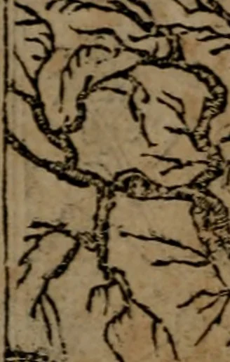 An illustration from Diverse imprese accommodate a diuerse moralità, con versi che i loro significati dichiarano insieme con molte altre nella lingua italiana non piu tradotte, 1564, leaf 181