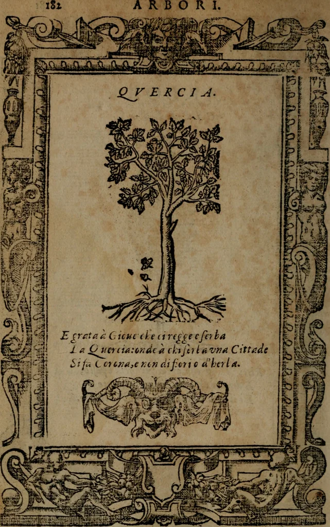 An illustration from Diverse imprese accommodate a diuerse moralità, con versi che i loro significati dichiarano insieme con molte altre nella lingua italiana non piu tradotte, 1564, leaf 185