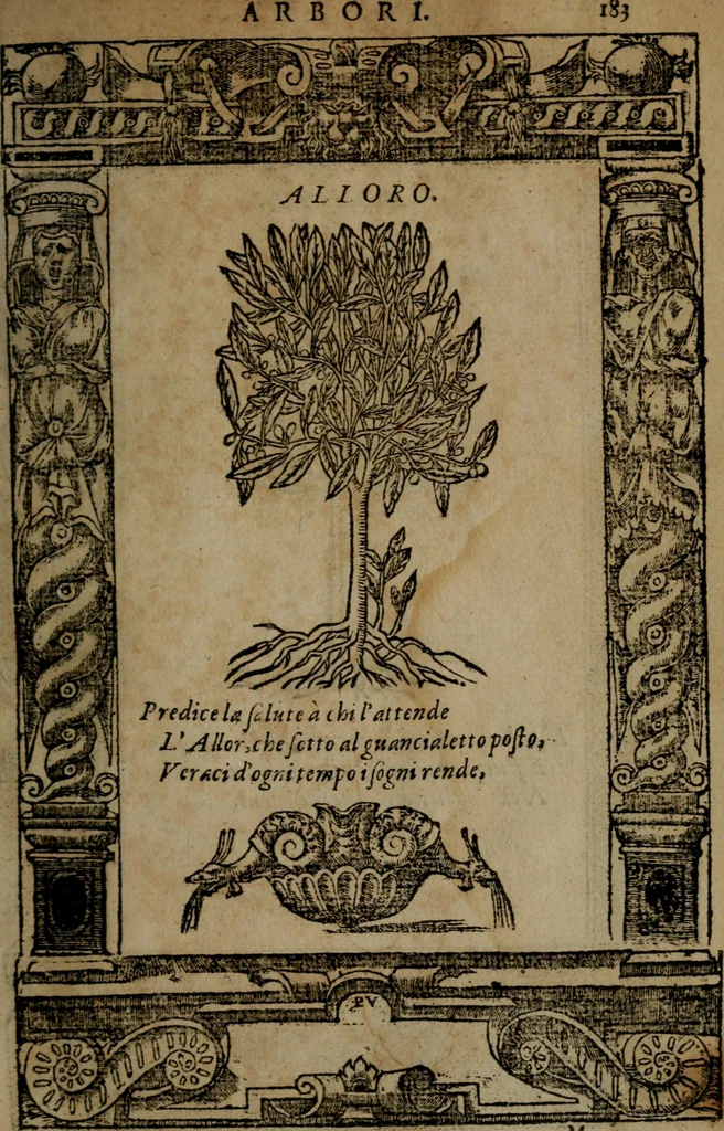 An illustration from Diverse imprese accommodate a diuerse moralità, con versi che i loro significati dichiarano insieme con molte altre nella lingua italiana non piu tradotte, 1564, leaf 186