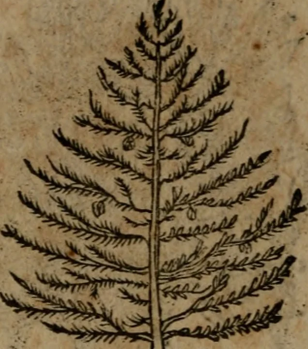 An illustration from Diverse imprese accommodate a diuerse moralità, con versi che i loro significati dichiarano insieme con molte altre nella lingua italiana non piu tradotte, 1564, leaf 187