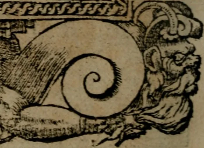 An illustration from Diverse imprese accommodate a diuerse moralità, con versi che i loro significati dichiarano insieme con molte altre nella lingua italiana non piu tradotte, 1564, leaf 189