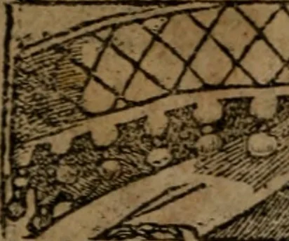 An illustration from Diverse imprese accommodate a diuerse moralità, con versi che i loro significati dichiarano insieme con molte altre nella lingua italiana non piu tradotte, 1564, leaf 191