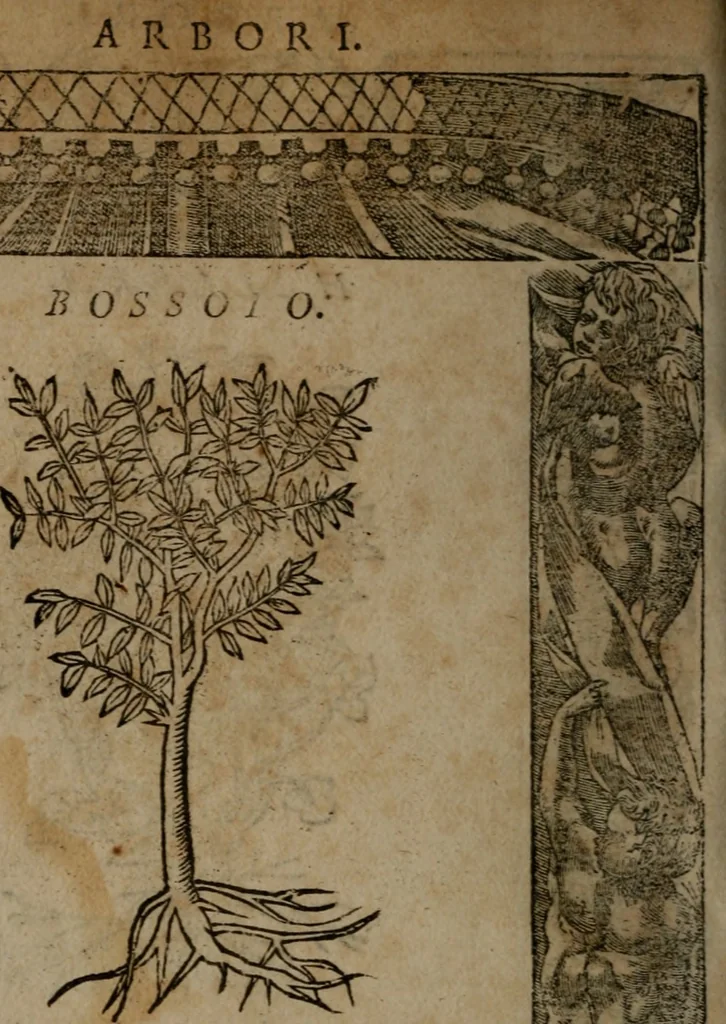 An illustration from Diverse imprese accommodate a diuerse moralità, con versi che i loro significati dichiarano insieme con molte altre nella lingua italiana non piu tradotte, 1564, leaf 191
