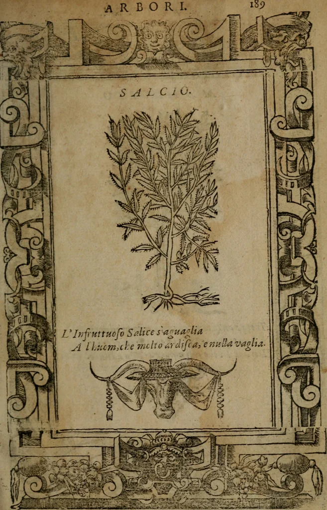 An illustration from Diverse imprese accommodate a diuerse moralità, con versi che i loro significati dichiarano insieme con molte altre nella lingua italiana non piu tradotte, 1564, leaf 192