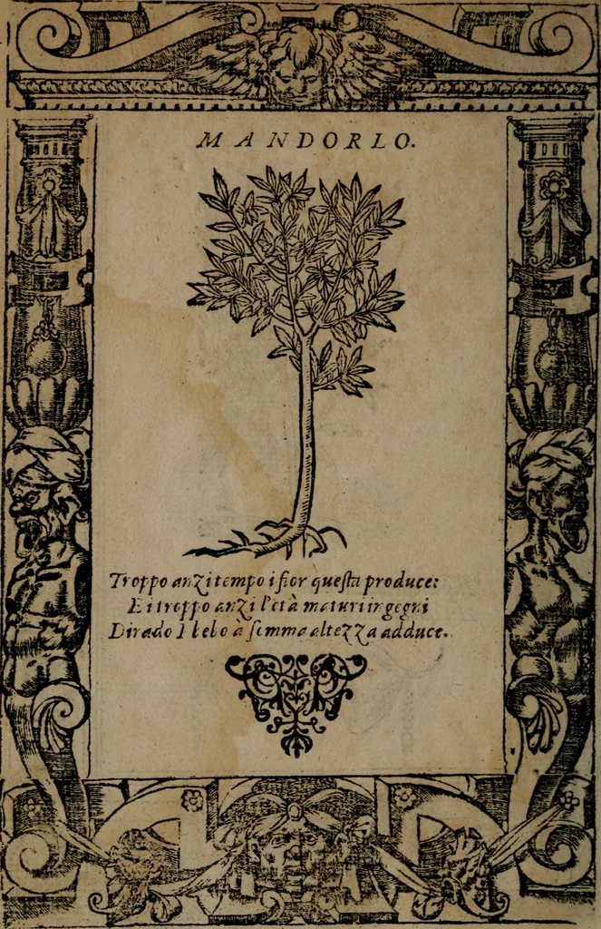 An illustration from Diverse imprese accommodate a diuerse moralità, con versi che i loro significati dichiarano insieme con molte altre nella lingua italiana non piu tradotte, 1564, leaf 193