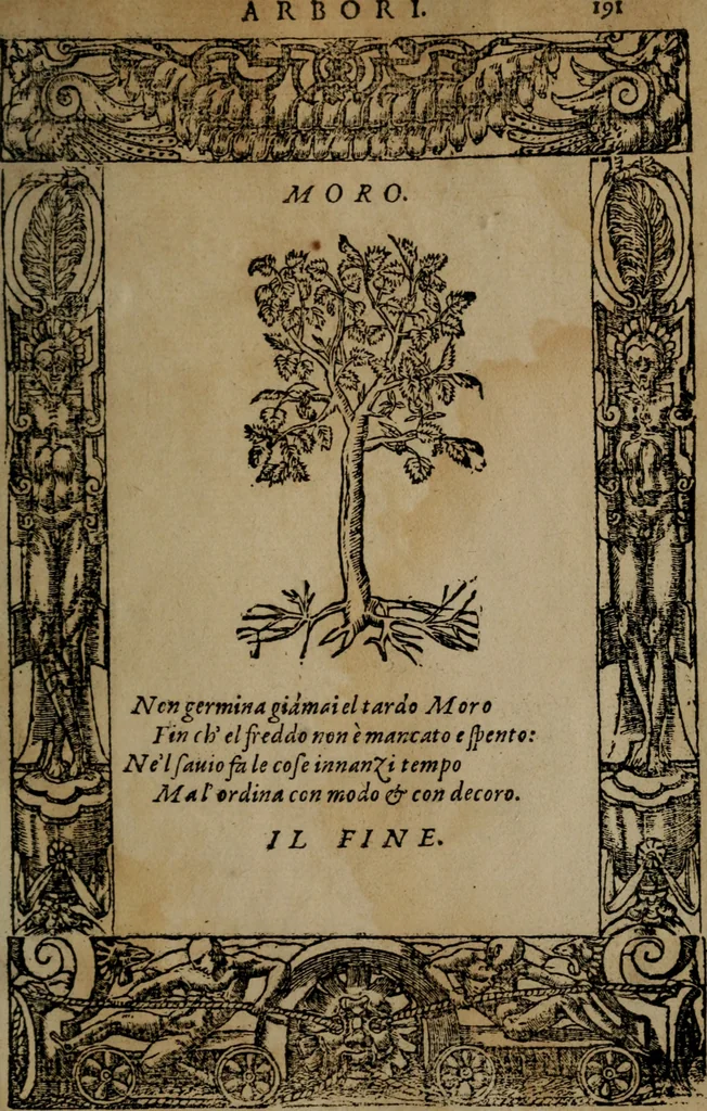 An illustration from Diverse imprese accommodate a diuerse moralità, con versi che i loro significati dichiarano insieme con molte altre nella lingua italiana non piu tradotte, 1564, leaf 194