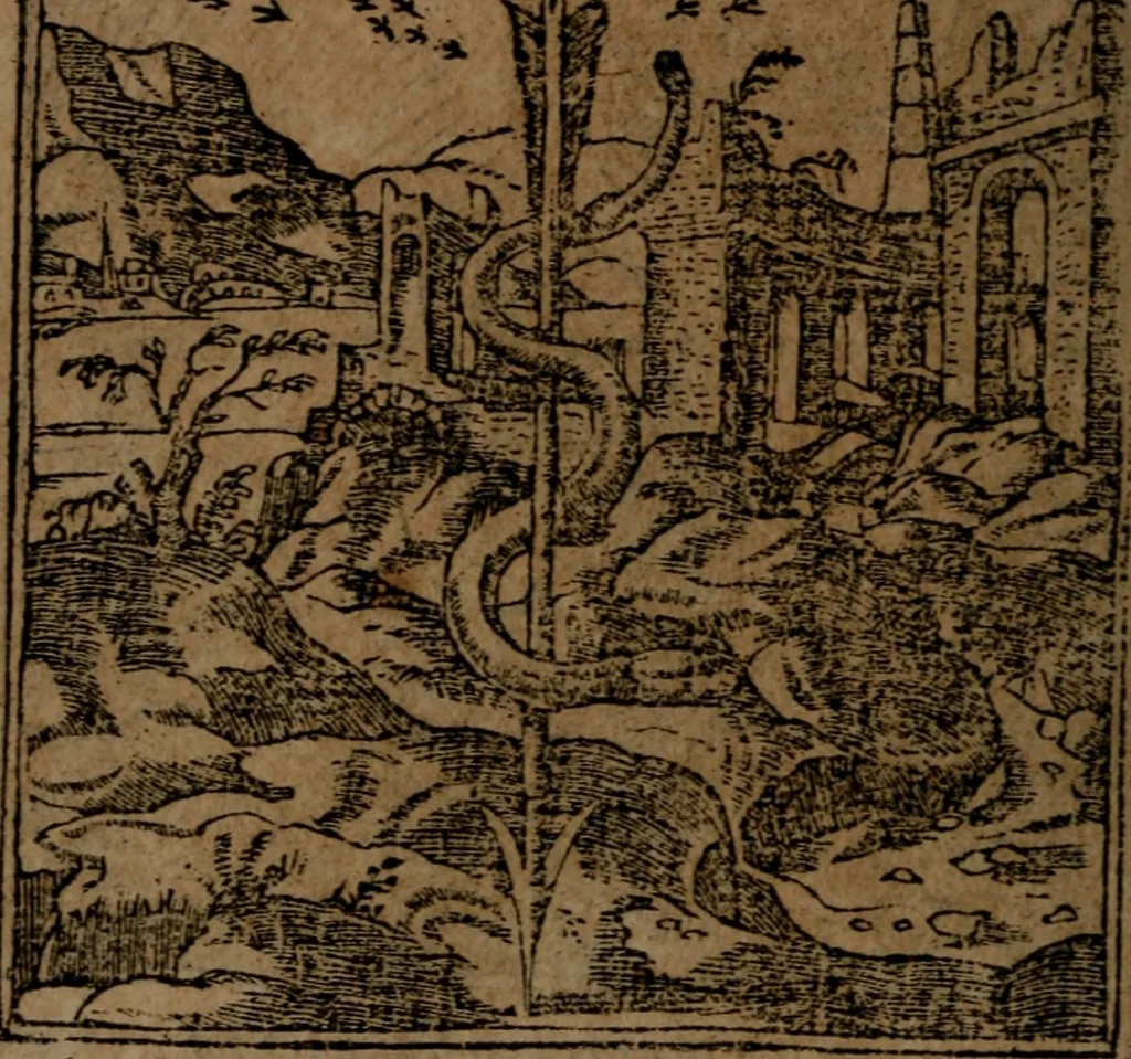 An illustration from Diverse imprese accommodate a diuerse moralità, con versi che i loro significati dichiarano insieme con molte altre nella lingua italiana non piu tradotte, 1564, leaf 25