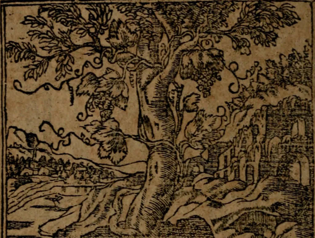 An illustration from Diverse imprese accommodate a diuerse moralità, con versi che i loro significati dichiarano insieme con molte altre nella lingua italiana non piu tradotte, 1564, leaf 29