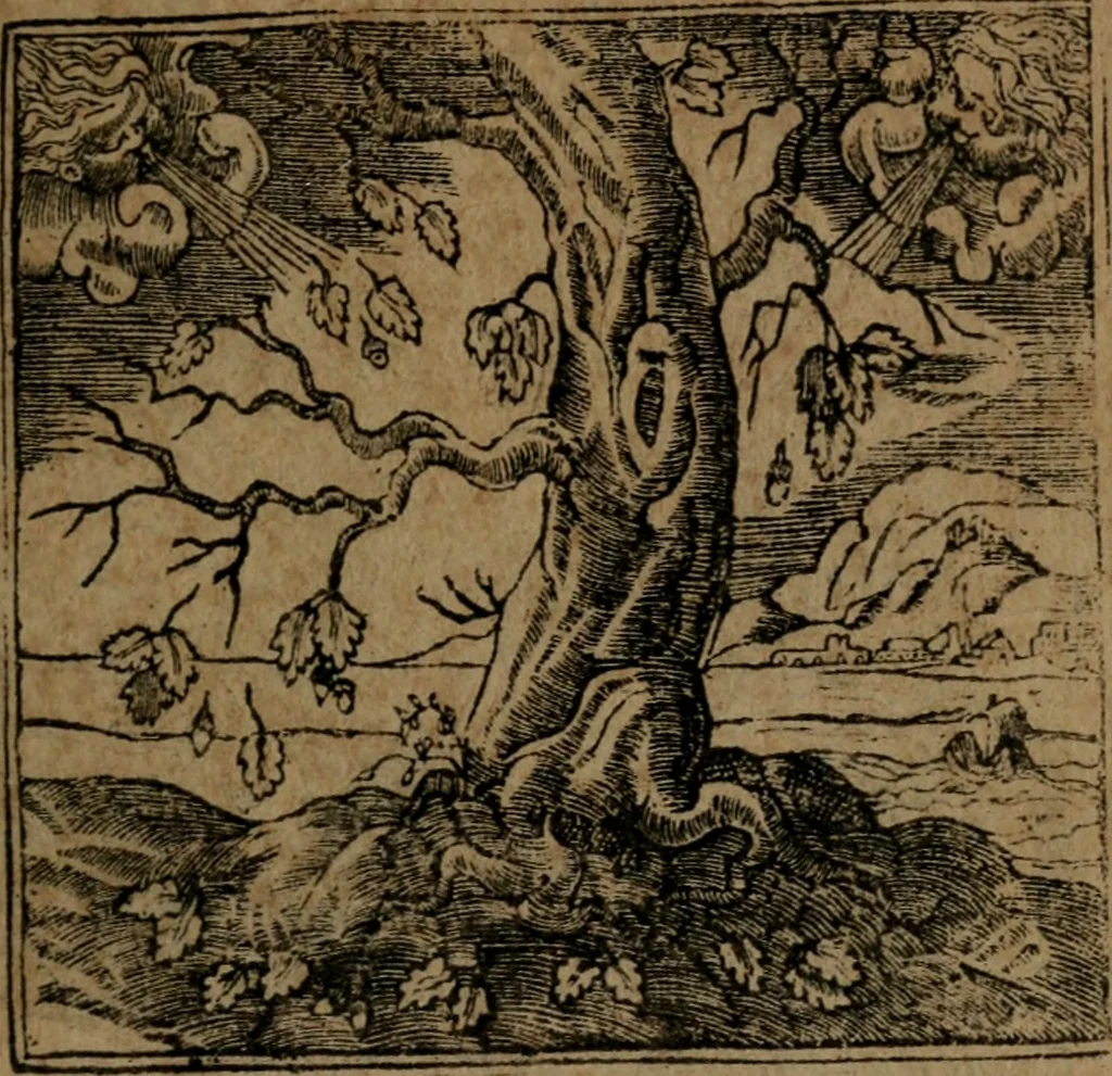 An illustration from Diverse imprese accommodate a diuerse moralità, con versi che i loro significati dichiarano insieme con molte altre nella lingua italiana non piu tradotte, 1564, leaf 46