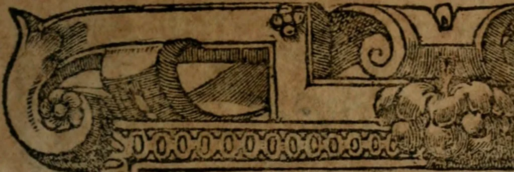 An illustration from Diverse imprese accommodate a diuerse moralità, con versi che i loro significati dichiarano insieme con molte altre nella lingua italiana non piu tradotte, 1564, leaf 48