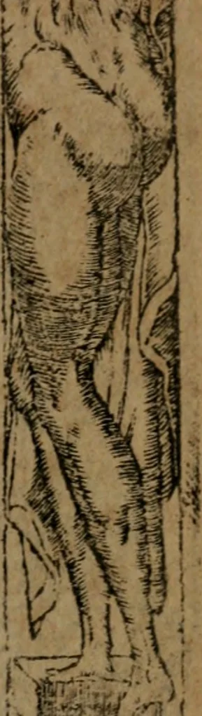 An illustration from Diverse imprese accommodate a diuerse moralità, con versi che i loro significati dichiarano insieme con molte altre nella lingua italiana non piu tradotte, 1564, leaf 50