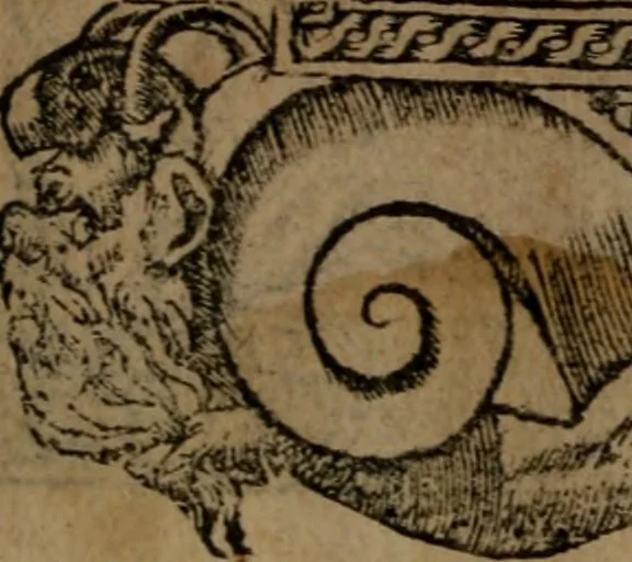 An illustration from Diverse imprese accommodate a diuerse moralità, con versi che i loro significati dichiarano insieme con molte altre nella lingua italiana non piu tradotte, 1564, leaf 51