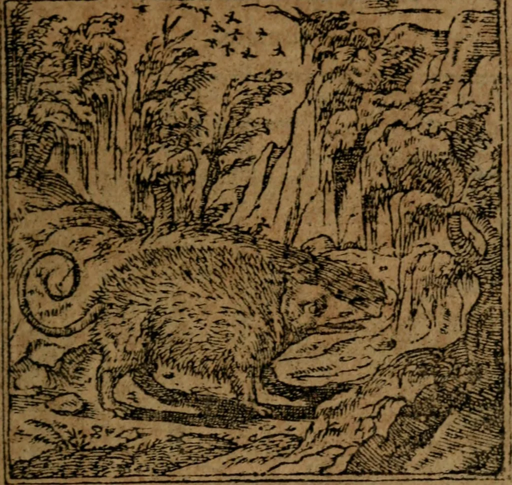 An illustration from Diverse imprese accommodate a diuerse moralità, con versi che i loro significati dichiarano insieme con molte altre nella lingua italiana non piu tradotte, 1564, leaf 58