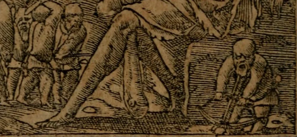 An illustration from Diverse imprese accommodate a diuerse moralità, con versi che i loro significati dichiarano insieme con molte altre nella lingua italiana non piu tradotte, 1564, leaf 63