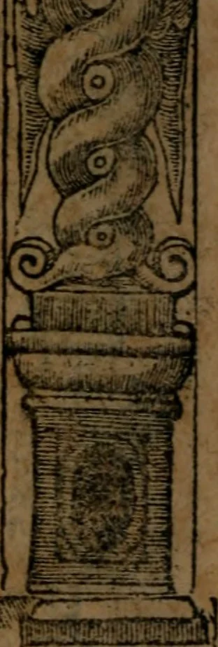 An illustration from Diverse imprese accommodate a diuerse moralità, con versi che i loro significati dichiarano insieme con molte altre nella lingua italiana non piu tradotte, 1564, leaf 67