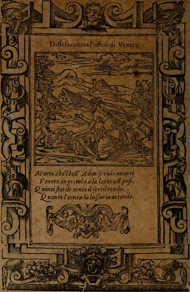 An illustration from Diverse imprese accommodate a diuerse moralità, con versi che i loro significati dichiarano insieme con molte altre nella lingua italiana non piu tradotte, 1564, leaf 79