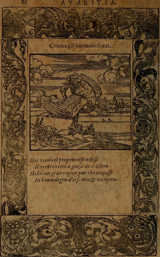 An illustration from Diverse imprese accommodate a diuerse moralità, con versi che i loro significati dichiarano insieme con molte altre nella lingua italiana non piu tradotte, 1564, leaf 89