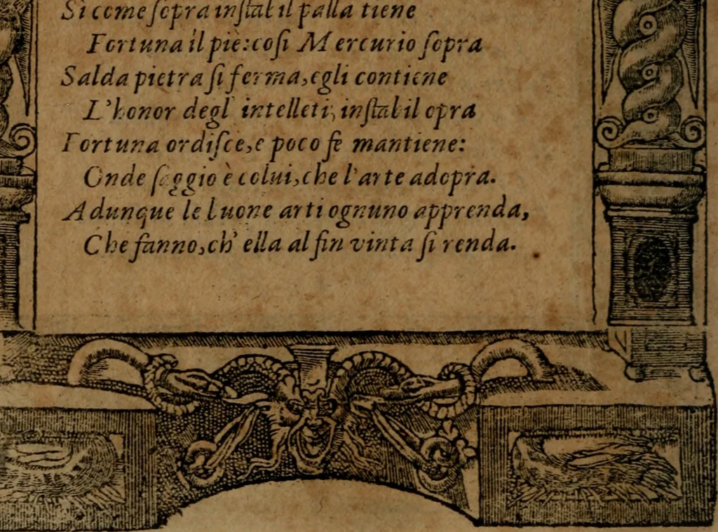 An illustration from Diverse imprese accommodate a diuerse moralità, con versi che i loro significati dichiarano insieme con molte altre nella lingua italiana non piu tradotte, 1564, leaf 99