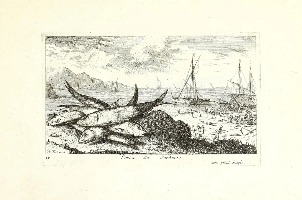 An illustration from Diuerses especes de poissons de mer, 1664, leaf 11