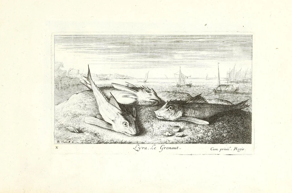 An illustration from Diuerses especes de poissons de mer, 1664, leaf 23