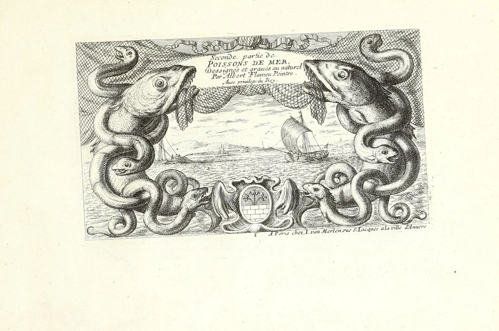 An illustration from Diuerses especes de poissons de mer, 1664, leaf 29