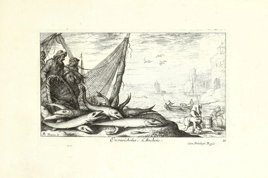 An illustration from Diuerses especes de poissons de mer, 1664, leaf 55
