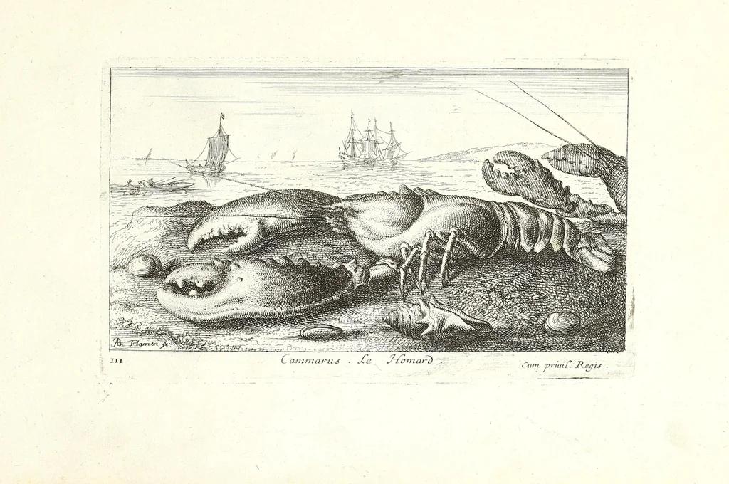 An illustration from Diuerses especes de poissons de mer, 1664, leaf 9