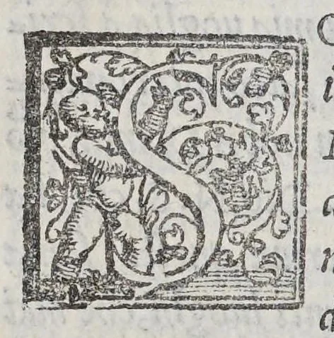 An illustration from Diuersi auisi particolari dall' Indie di Portogallo riceuuti, dall' anno 1551. sino al 1558. dalli reuerendi padri della Compagnia di Giesu. : Dove s'Intende delli paesi, delle genti, & costumi loro, & la grande conuersione di molti popoli, che hanno riceuuto il lume della santa fede, & religione Christiana., 1559, leaf 66