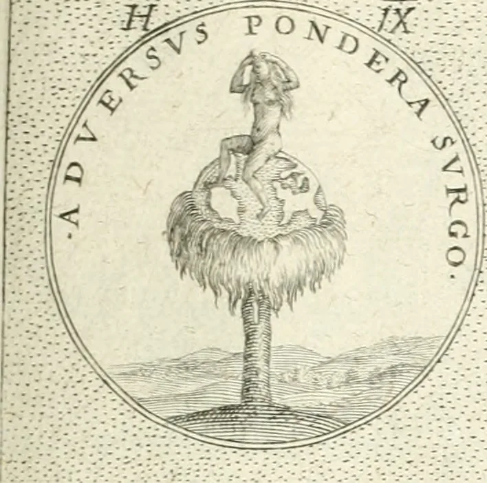 An illustration from Symbola diuina & humana pontificvm, imperatorvm, regvm : accessit breuis & facilis isagoge Iac. Typotii : ex mvsaeo Octavii de Strada civis Romani : tomus primus[-tertius], 1601, leaf 120