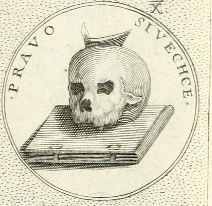 An illustration from Symbola diuina & humana pontificvm, imperatorvm, regvm : accessit breuis & facilis isagoge Iac. Typotii : ex mvsaeo Octavii de Strada civis Romani : tomus primus[-tertius], 1601, leaf 120