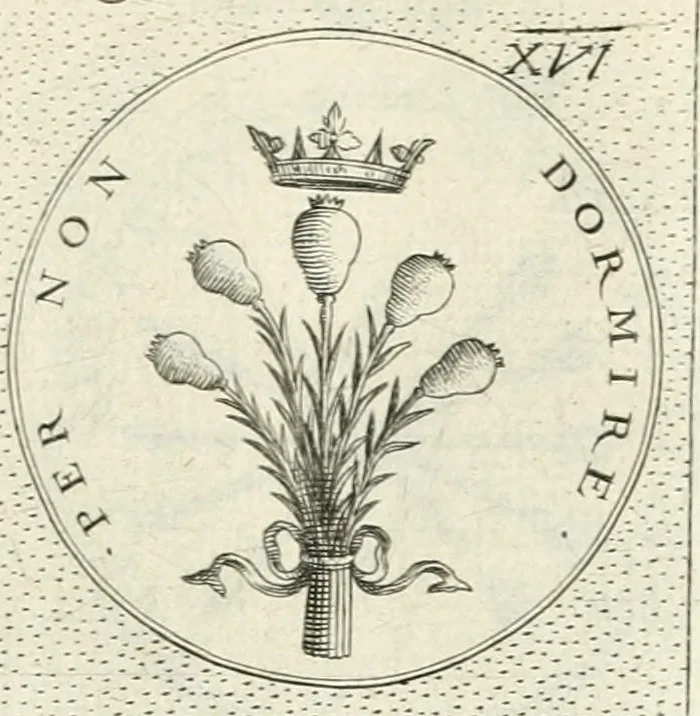 An illustration from Symbola diuina & humana pontificvm, imperatorvm, regvm : accessit breuis & facilis isagoge Iac. Typotii : ex mvsaeo Octavii de Strada civis Romani : tomus primus[-tertius], 1601, leaf 122