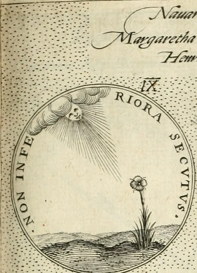 An illustration from Symbola diuina & humana pontificvm, imperatorvm, regvm : accessit breuis & facilis isagoge Iac. Typotii : ex mvsaeo Octavii de Strada civis Romani : tomus primus[-tertius], 1601, leaf 128