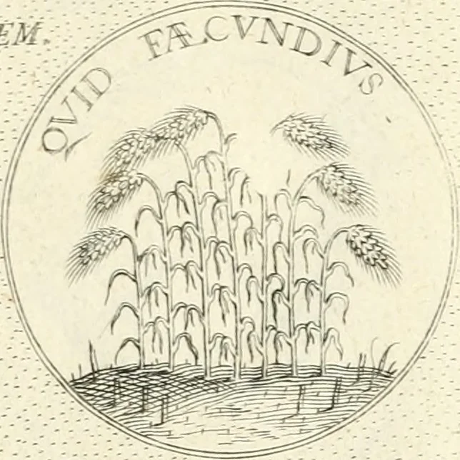 An illustration from Symbola diuina & humana pontificvm, imperatorvm, regvm : accessit breuis & facilis isagoge Iac. Typotii : ex mvsaeo Octavii de Strada civis Romani : tomus primus[-tertius], 1601, leaf 14