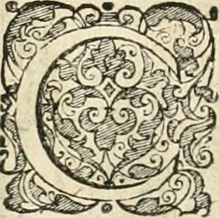 An illustration from Symbola diuina & humana pontificvm, imperatorvm, regvm : accessit breuis & facilis isagoge Iac. Typotii : ex mvsaeo Octavii de Strada civis Romani : tomus primus[-tertius], 1601, leaf 231