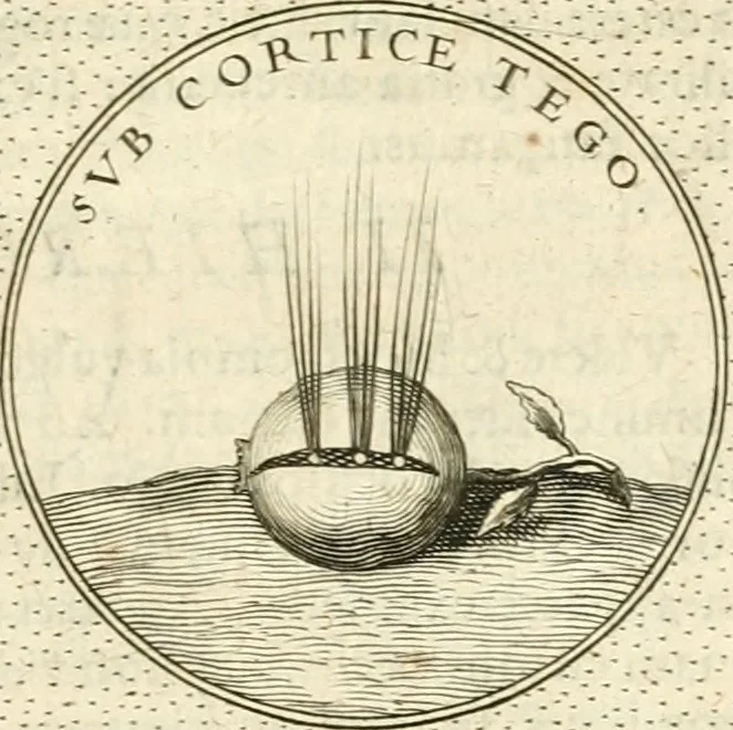 An illustration from Symbola diuina & humana pontificvm, imperatorvm, regvm : accessit breuis & facilis isagoge Iac. Typotii : ex mvsaeo Octavii de Strada civis Romani : tomus primus[-tertius], 1601, leaf 238