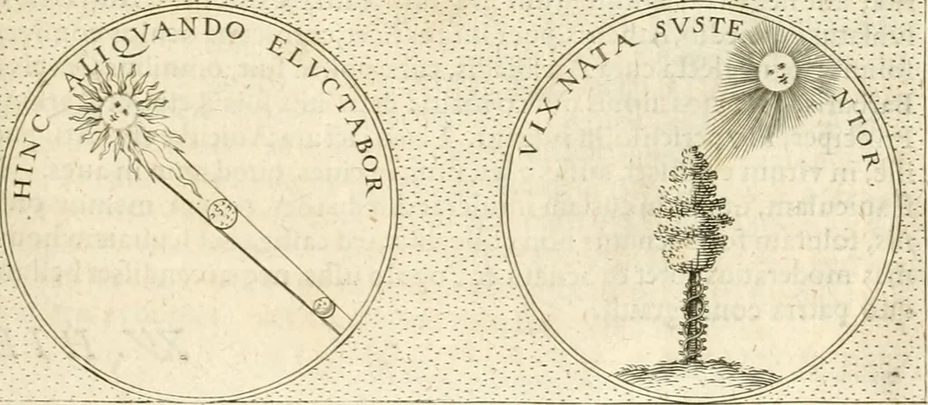 An illustration from Symbola diuina & humana pontificvm, imperatorvm, regvm : accessit breuis & facilis isagoge Iac. Typotii : ex mvsaeo Octavii de Strada civis Romani : tomus primus[-tertius], 1601, leaf 248