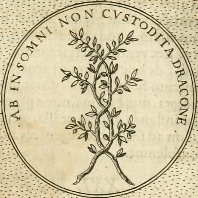 An illustration from Symbola diuina & humana pontificvm, imperatorvm, regvm : accessit breuis & facilis isagoge Iac. Typotii : ex mvsaeo Octavii de Strada civis Romani : tomus primus[-tertius], 1601, leaf 252