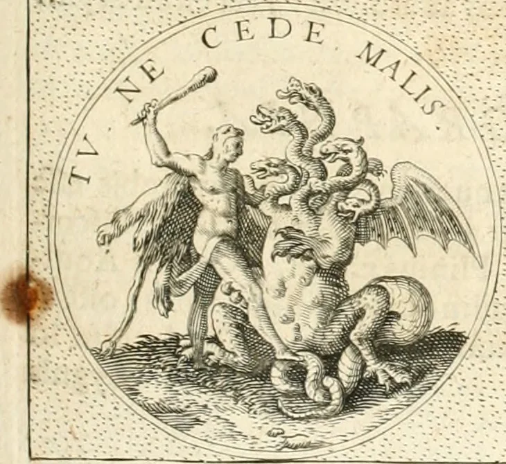 An illustration from Symbola diuina & humana pontificvm, imperatorvm, regvm : accessit breuis & facilis isagoge Iac. Typotii : ex mvsaeo Octavii de Strada civis Romani : tomus primus[-tertius], 1601, leaf 256