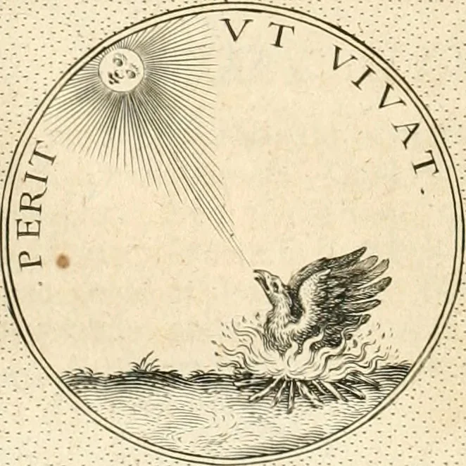 An illustration from Symbola diuina & humana pontificvm, imperatorvm, regvm : accessit breuis & facilis isagoge Iac. Typotii : ex mvsaeo Octavii de Strada civis Romani : tomus primus[-tertius], 1601, leaf 265